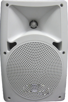PA520 2路5.25寸室外扬声器，白色，黑色